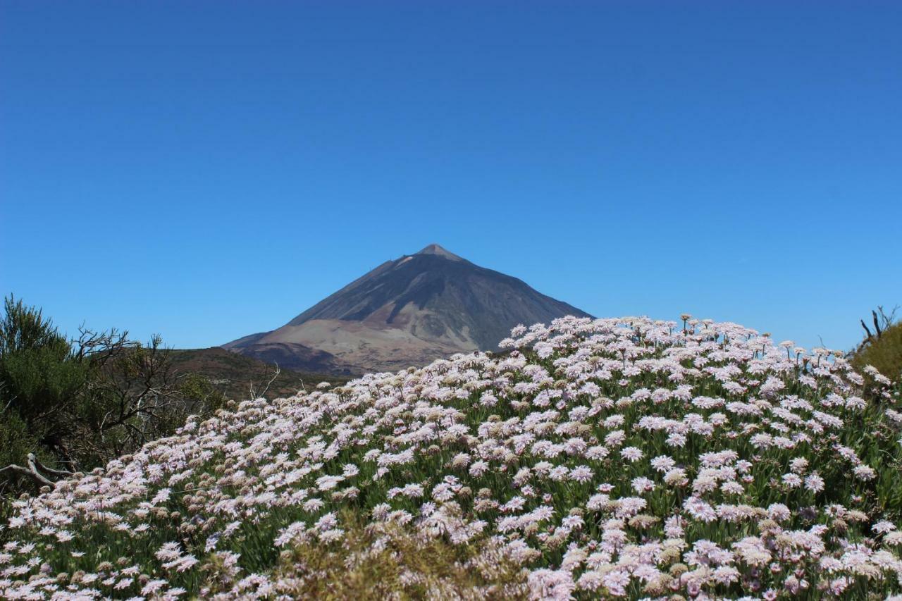 Apt El Perenquen Santa Cruz de Tenerife Bagian luar foto